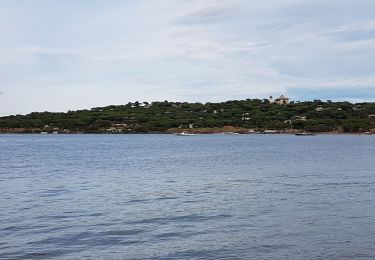 Tocht Stappen Saint-Tropez - PRESQU'ÎLE DE SAINT TROPEZ - Photo