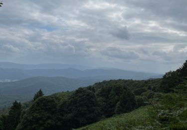 Trail Walking Breitenbach - Vers le champ du Feu - Photo