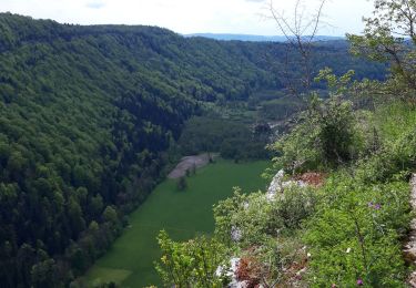 Trail Walking Menétrux-en-Joux - Menetrux. Les Cascades du hérisson.  - Photo
