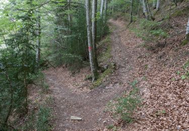 Randonnée Marche Châtillon-en-Diois - Circuit des Baumes - Pont de vachères-Soubreroche - Boulc - Photo