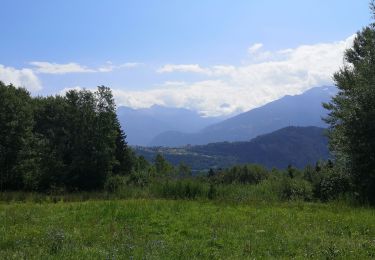 Trail Nordic walking Arbaz - bisse d'Ayen - Barra  - Photo
