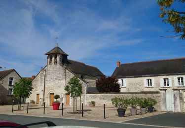 Excursión Senderismo Ports-sur-Vienne - Ports-sur-Vienne - GR48 Pussigny Ponçay - 23.4km 410m 5h15 (50mn) - 2024 04 13 - Photo