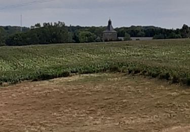 Tour Wandern Anthisnes - tavier moulin ac - Photo