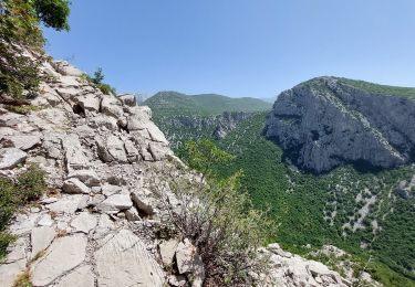 Randonnée A pied  - Starigrad - spoj s putom Ramići/Vidakov kuk - Photo