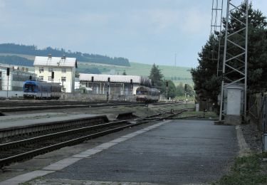 Tour Zu Fuß Milkendorf - [M] Milotice nad Opavou - Krnov - Photo