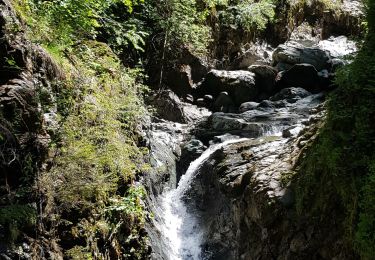 Tour Wandern Les Houches - Les Gorges de la Diozaz  - Photo