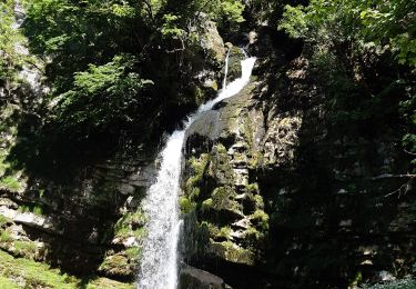 Tocht Stappen Septmoncel les Molunes - Les gorges du Flumen - Photo