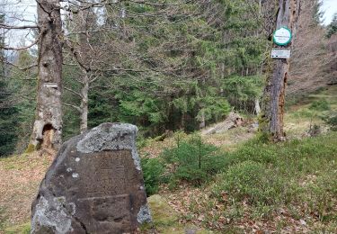 Tocht Stappen Wisches - Col de l'Engin Rocher de Mutzig - Photo