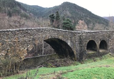 Trail Walking La Brigue - Pond du Coq - Photo