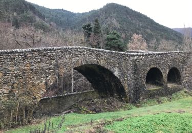 Excursión Senderismo La Brigue - Pond du Coq - Photo