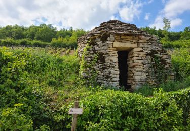 Trail Walking Pernand-Vergelesses - 01 05 22 les cabottes - Photo