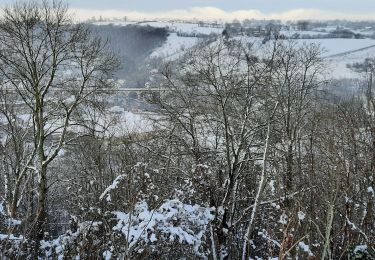 Tour Wandern Limburg - Balade à Limbourg (Losange bleu 9km) - Photo