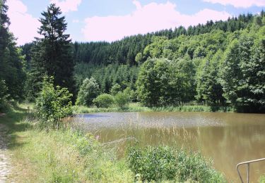 Excursión A pie Harzgerode - Grünes Dreieck - Photo