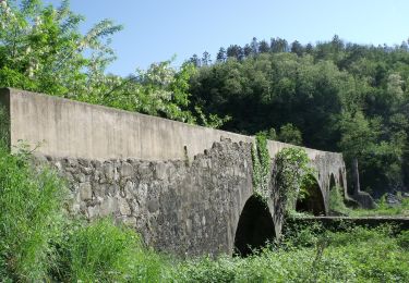 Excursión A pie Brugnato - Brugnato - Serò - Pieve di Zignago - CaseCastellaro - Foce di Colle Fiorito (Innesto AVML) - Photo