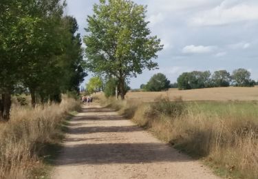 Randonnée Marche Castrojeriz - Boadiĺla del Camino - Photo