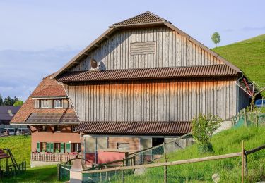 Randonnée A pied Hergiswil bei Willisau - Mörisegg - St.Joder - Photo