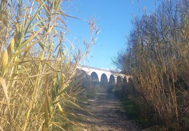 Tocht Stappen Sausset-les-Pins - Sausset-Les Tamaris 10.12.23 - Photo