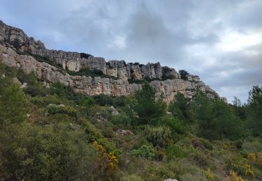 Trail Walking Beaurecueil - Le tour du plateau du Cengle - Photo