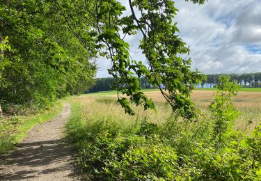 Randonnée Marche Genappe - Glabais - Hauts du bois Ways Ruart - Photo