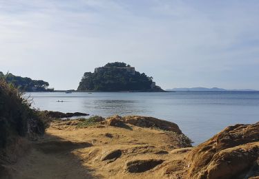 Randonnée Marche Bormes-les-Mimosas - Sentier Bregancon - Photo