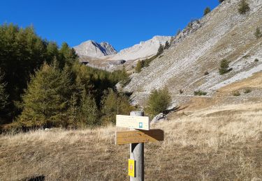 Trail Walking Uvernet-Fours - les crêtes de la pierre éclatée  - Photo