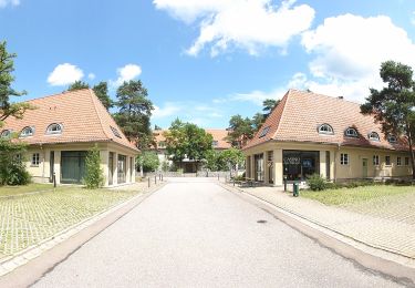 Randonnée A pied Inconnu - Dresdner Heide, Lehrpfad Kretschelgrund - Photo