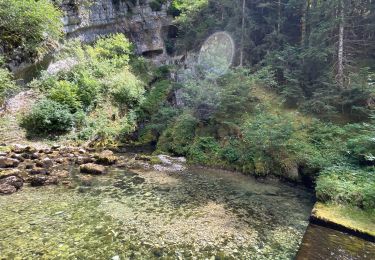 Trail Mountain bike Foncine-le-Haut - Jura 2 - Photo