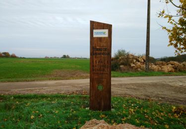 Percorso Marcia Villedômer - Étang de l'Archevêque - Crotelles la Grand' Vallée - 20.3km 215m 4h25 (35mn) - 2022 11 26 - Photo