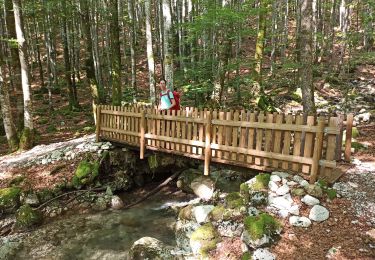 Trail Walking Lélex - étape 21 : Lelex - Menthières par Valserine  - Photo