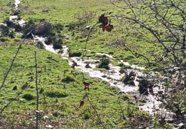 Randonnée Marche Verneuil-sur-Vienne - la merlie - Photo