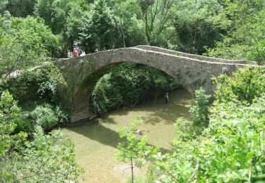 Trail On foot Saint-Maurice-Navacelles - 2021-05-25_Navacelles-La Foux - Photo
