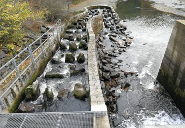 Tocht Stappen Boulaide - Boulaide - Photo