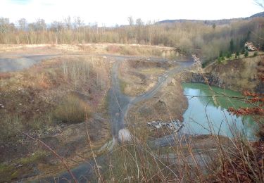 Tocht Te voet Habichtswald - Eco-Pfad Habichtswald - Photo