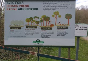 Randonnée Marche Messon - Bois de Vieux, bois Lorgne - Photo