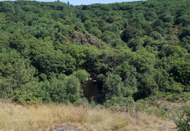 Trail Walking Tréhorenteuc - les landes de Gurwant et le Val sans retour - Photo