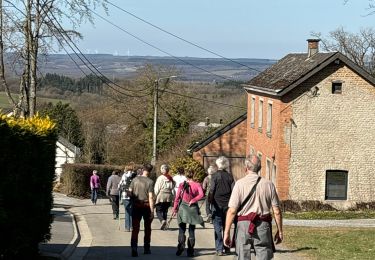 Tour Wandern Marche-en-Famenne - Champlon Famenne - Photo