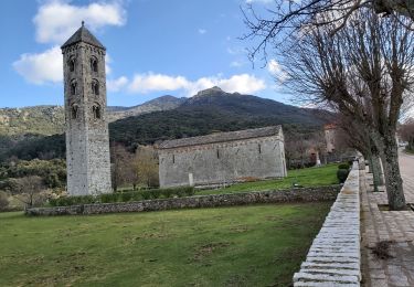 Tocht Stappen Carbini - Autour de Carbini et l'essentiel des Giovanalli  - Photo