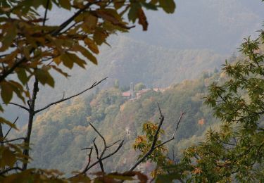 Trail On foot Palazzuolo sul Senio - IT-741 - Photo