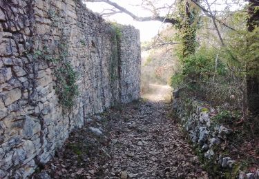 Trail Walking Venasque - venasque souveille chinardon 84 - Photo