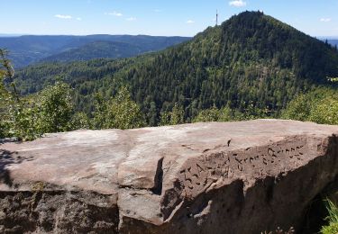 Tour Wandern Michelbrunn - Positions fortifiées du Donon sentier des casemates - nord - Photo