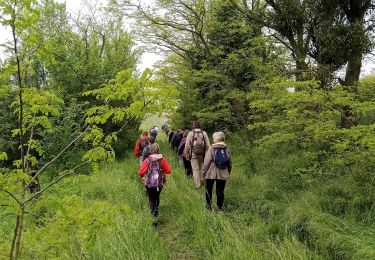 Trail Walking Épaux-Bézu - Épaux-Bézu du 14-05-2023 - Photo