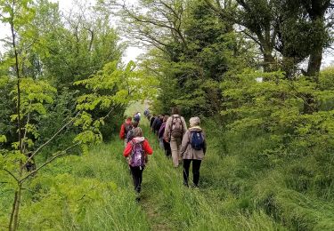 Percorso Marcia Épaux-Bézu - Épaux-Bézu du 14-05-2023 - Photo