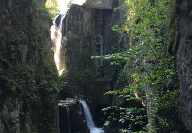 Trail Walking Fort-du-Plasne - Les gorges de la languettes et de malvaux  - Photo
