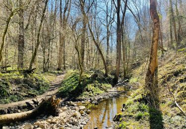 Trail Walking Huy - Vallée de la Solières : Chasse au trésor - Photo