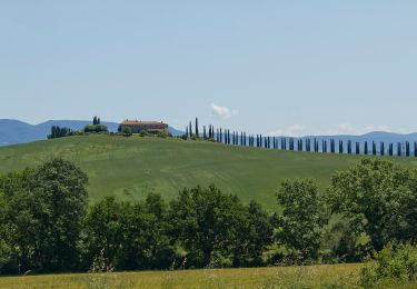 Excursión A pie San Quirico d'Orcia - Cerrolungo - Photo