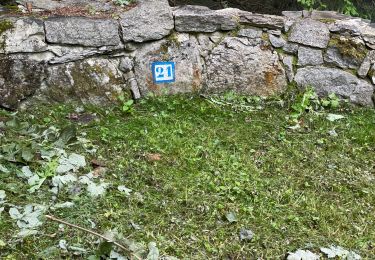 Trail Walking Cauterets - Sentier du Lisey - Photo