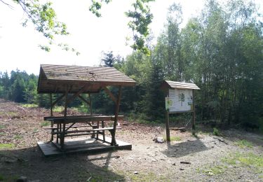 Trail Walking Vielsalm - Vielsalm Petit hier (losange rouge) - Photo