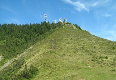 Trail On foot Calimanesti - gara CFR Călimănești - Plaiul Sitarului - Cabana Cozia - Photo