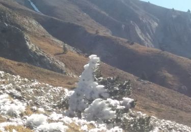 Tocht Stappen Glandage - grimone col de seysse - Photo