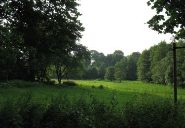 Tocht Te voet Onbekend - Bittermark Rundweg A1 - Photo